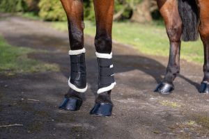 Rhinegold Neoprene Fleece Trim Brushing Boots