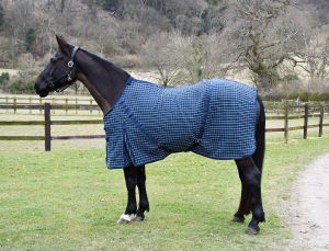 Rhinegold Cooler Rug