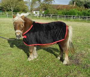 Small Pony Coral Fleece Rugs