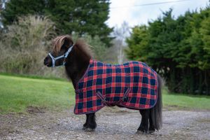 Rhinegold Mini Smart-Tec Waffle Cooler Rug