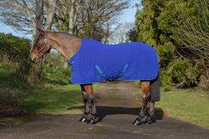Rhinegold Fleece Backed Terry Towelling Rug