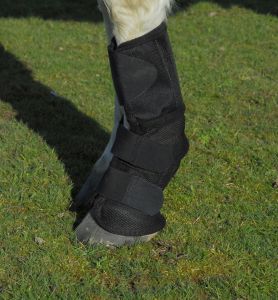 Rhinegold Fly Boot- Fly Free Summer Mesh Boot