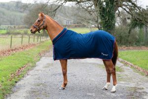 Rhinegold Comfey Collar Fleece Rug